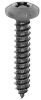 PHIL PAN HEAD SCREW, #10 X 1, BL